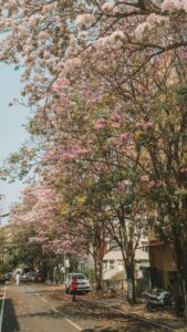3 BHK Flat in Vasant Kunj Delhi