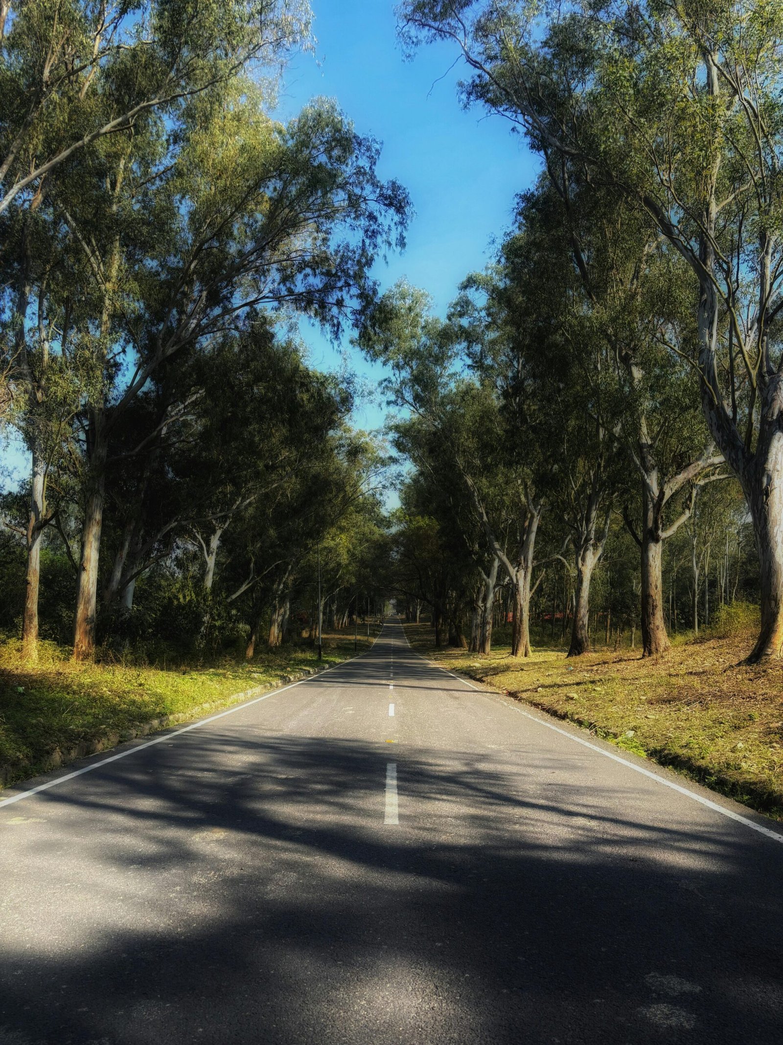 3 bhk flat for sale in new chandigarh chandigarh